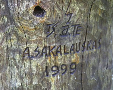 Stogastulpis – 80 metų Marijampolės miškų urėdijai Paveikslėlis 1